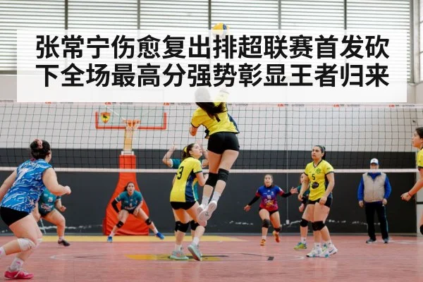 volleyball match indoor