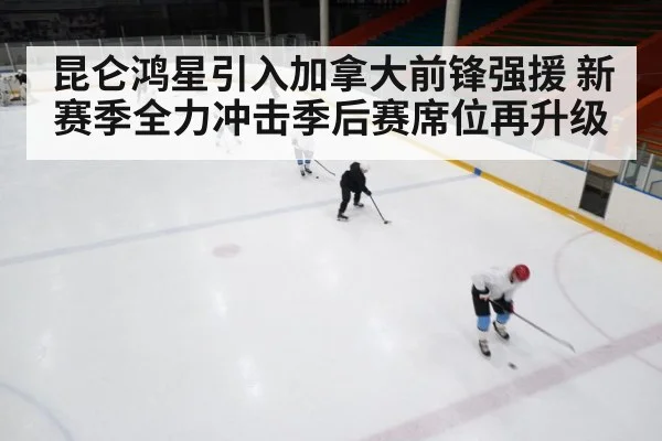 ice hockey training